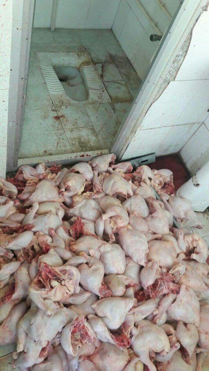 ماجرای نگهداری مرغ های کشته شده در دستشویی + تصویر