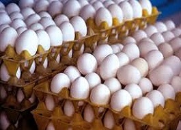 قیمت عرضه تخم‌مرغ درب مرغداری‌ها کیلویی ۱۲۰۰۰ تومان و برای مصرف‌کنندگان ۱۴۵۰۰ تومان