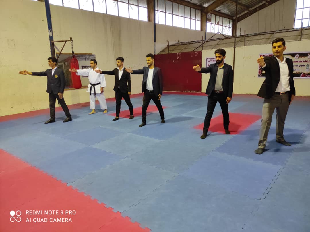 اولین دوره ی استاژ و ارتقاء کلاس داوری کاراته در لنده+تصاویر