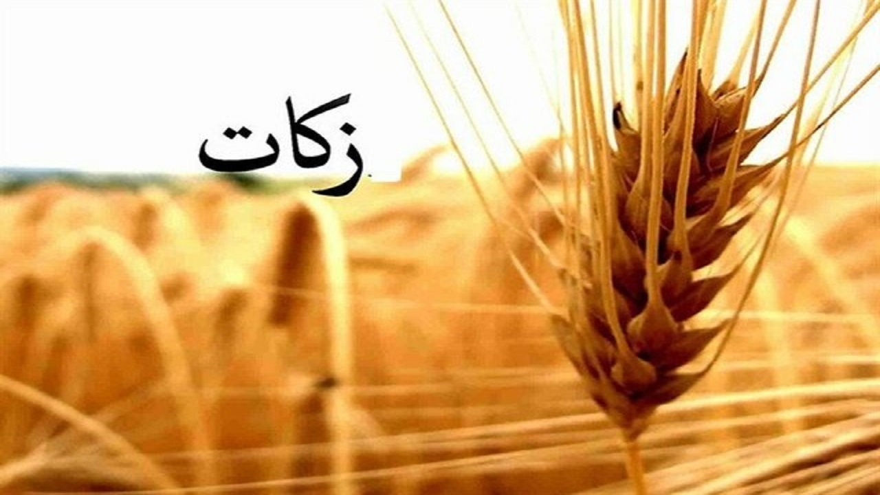 افزایش پرداخت زکات در استان قزوین افزایش پرداخت زکات در استان قزوین