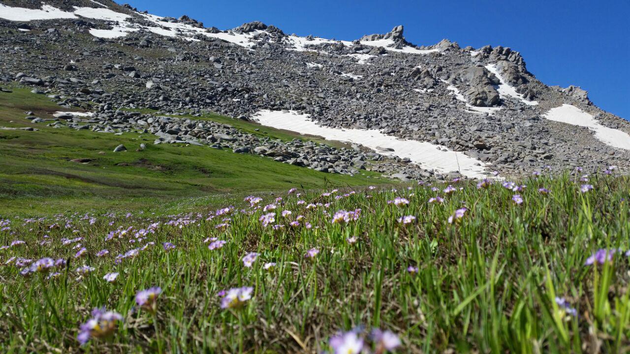 کوهستان الوندو طبیعت بکرش را به حال خود بگذاریدوبگذرید