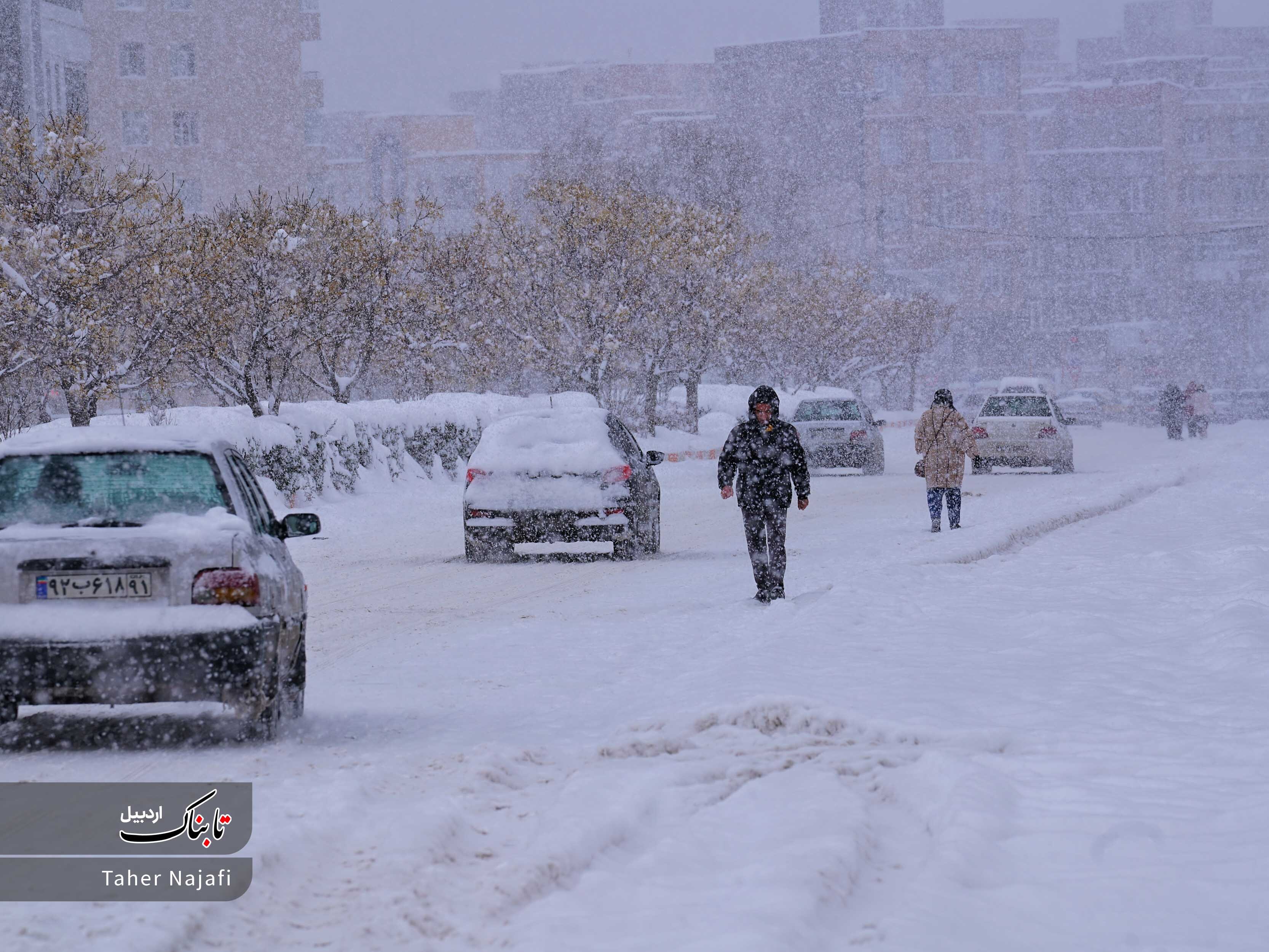 پالتو سفید بر تن شهر اردبیل پالتو سفید بر تن شهر اردبیل