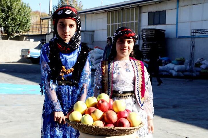 ثبت جشنواره سیب لرستان در تقویم رویدادهای گردشگری کشور