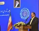 تعدد سامانه‌ها فعالان اقتصادی را با مشکل روبرو کرده است/ بخش کشاورزی از تعهد ارزی خارج شود